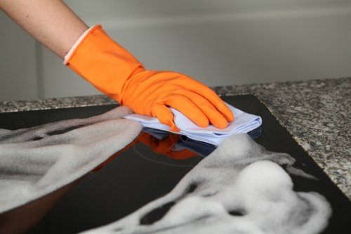 Professional carpet cleaning in a SW15 home living room