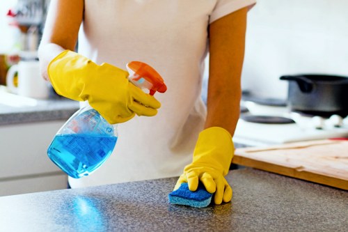 Cleaner assessing carpet treatment risks before starting work