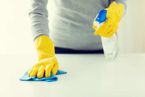 Local pet stain odour removal work in SW15 residential and commercial spaces