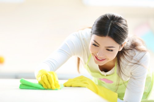 Preparation checklist and tools used for oven cleaning service