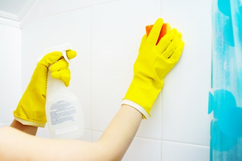 Mattress cleaning for a furnished property in SW15