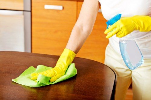 Carpet cleaning results showing improved freshness and appearance