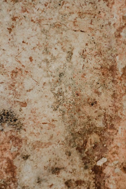 Close-up of a wall or ceiling surface with prominent mould growth, displaying dark green and black patches, and discolored, damp, or stained areas. The surface appears uneven with visible moisture stains and textured patches, indicative of ongoing moisture issues. The lighting highlights the rough, porous material, which could be plaster or drywall, affected by mould infestation. This image, relevant to mould in Putney flats, exemplifies the importance of professional surface cleaning, deep cleaning, and sanitisation services provided by Carpet Cleaners SW15 to address domestic moisture and hygiene concerns.